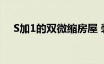 S加1的双微缩房屋 装饰在不同的树林里