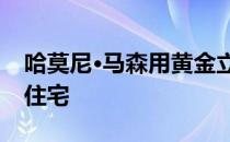 哈莫尼·马森用黄金立方体的外墙完成了学生住宅