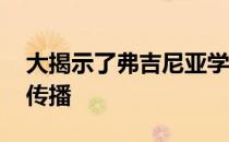 大揭示了弗吉尼亚学校的计划 将在其网站上传播