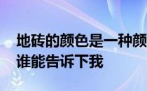 地砖的颜色是一种颜色吗 地砖的颜色有哪些谁能告诉下我 