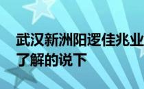 武汉新洲阳逻佳兆业楼盘 武汉新洲楼盘价格了解的说下 