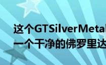 这个GTSilverMetallicless无条纹的例子有一个干净的佛罗里达标题