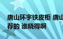 唐山环宇铁皮柜 唐山铁皮柜厂有哪些值得推荐的 谁晓得啊 