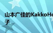 山本广佳的KakkoHouse是一座宽3.4米的房子