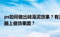 ps如何做出硅藻泥效果？有没有硅藻泥之类的软件可以在电脑上做效果图？