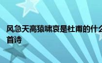 风急天高猿啸哀是杜甫的什么诗 风急天高猿啸哀是杜甫的哪首诗 