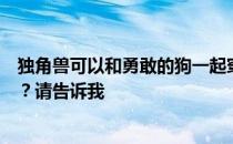 独角兽可以和勇敢的狗一起穿吗？穿独角兽好还是勇敢狗好？请告诉我