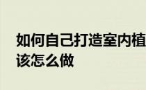 如何自己打造室内植物墙 室内植物墙设计应该怎么做 