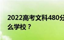 2022高考文科480分能上大学吗？可以上什么学校？