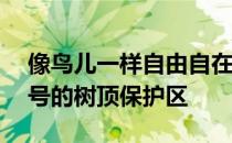 像鸟儿一样自由自在地生活在上斯图特路55号的树顶保护区