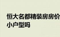 恒大名都精装房房价 求大神解答恒大名都有小户型吗 