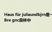 Haus für juliaundbjrn是一座木屋 位于奥地利风景如画的Bre gnc森林中