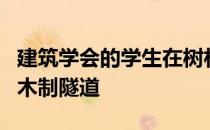 建筑学会的学生在树林中建造的漂浮金字塔和木制隧道