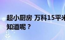 超小厨房 万科15平米超小户型有厨房吗？谁知道呢？