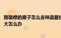 刚装修的房子怎么去味道最快 哪位亲告诉下刚装修完味道很大怎么办 