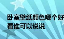 卧室壁纸颜色哪个好看 房间壁纸什么颜色好看谁可以说说 