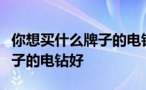 你想买什么牌子的电钻？问问有谁知道什么牌子的电钻好