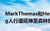 MarkThomas和HenryFagan的Boomslang人行道延伸至森林树冠