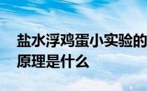 盐水浮鸡蛋小实验的原理 鸡蛋浮在盐水上的原理是什么 