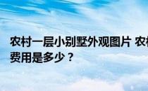 农村一层小别墅外观图片 农村二层小别墅如何装修设计？总费用是多少？