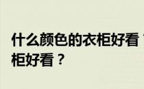 什么颜色的衣柜好看？谁能告诉我什么样的衣柜好看？