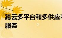 跨云多平台和多供应商环境自动提供和管理IT服务