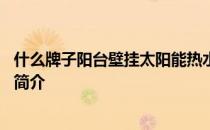 什么牌子阳台壁挂太阳能热水器好 阳台壁挂太阳能热水器的简介 