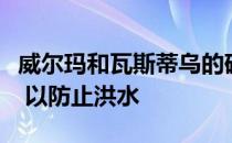 威尔玛和瓦斯蒂乌的砖房被立在倾斜的高跷上 以防止洪水