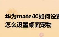 华为mate40如何设置循环桌面 华为mate40怎么设置桌面宠物 