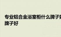 专业铝合金浴室柜什么牌子好？哪位知道铝合金浴室柜什么牌子好