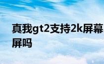 真我gt2支持2k屏幕吗 真我GT2Pro支持2K屏吗 