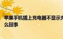 苹果手机插上充电器不显示充电 苹果充电器插上没反应是怎么回事 