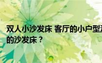 双人小沙发床 客厅的小户型沙发床怎么摆放？你选择什么样的沙发床？