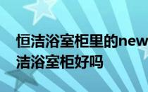 恒洁浴室柜里的new表示什么 求大神解答恒洁浴室柜好吗 