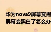 华为nova9屏幕变黑白怎么调整 华为nova9屏幕变黑白了怎么办 