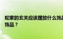 蛇家的玄关应该摆放什么饰品？谁能告诉我玄关应该放什么饰品？