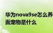 华为nova9se怎么养宠物 华为nova9SE的桌面宠物是什么 