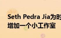 Seth Pedra Jia为时装设计师圣莫尼卡住宅增加一个小工作室