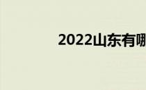 2022山东有哪些好的高校？