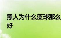 黑人为什么篮球那么好 黑人为什么篮球那么好 