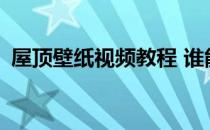 屋顶壁纸视频教程 谁能说屋顶可以贴壁纸？