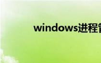 windows进程管理器如何使用