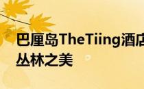 巴厘岛TheTiing酒店粗糙的混凝土墙勾勒出丛林之美