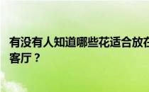 有没有人知道哪些花适合放在客厅保持阳光 哪些花适合放在客厅？