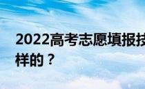 2022高考志愿填报技巧及指南申请流程是怎样的？