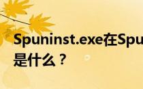 Spuninst.exe在Spuninst.exe的过程和目的是什么？