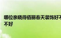 哪位亲晓得佰丽春天装饰好不好 哪位亲晓得佰丽春天装饰好不好 