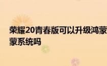 荣耀20青春版可以升级鸿蒙系统 荣耀20青春版可以升级鸿蒙系统吗 