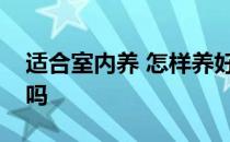 适合室内养 怎样养好室内花知道的能告诉下吗 