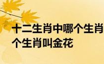 十二生肖中哪个生肖代表金花 十二生肖中哪个生肖叫金花 